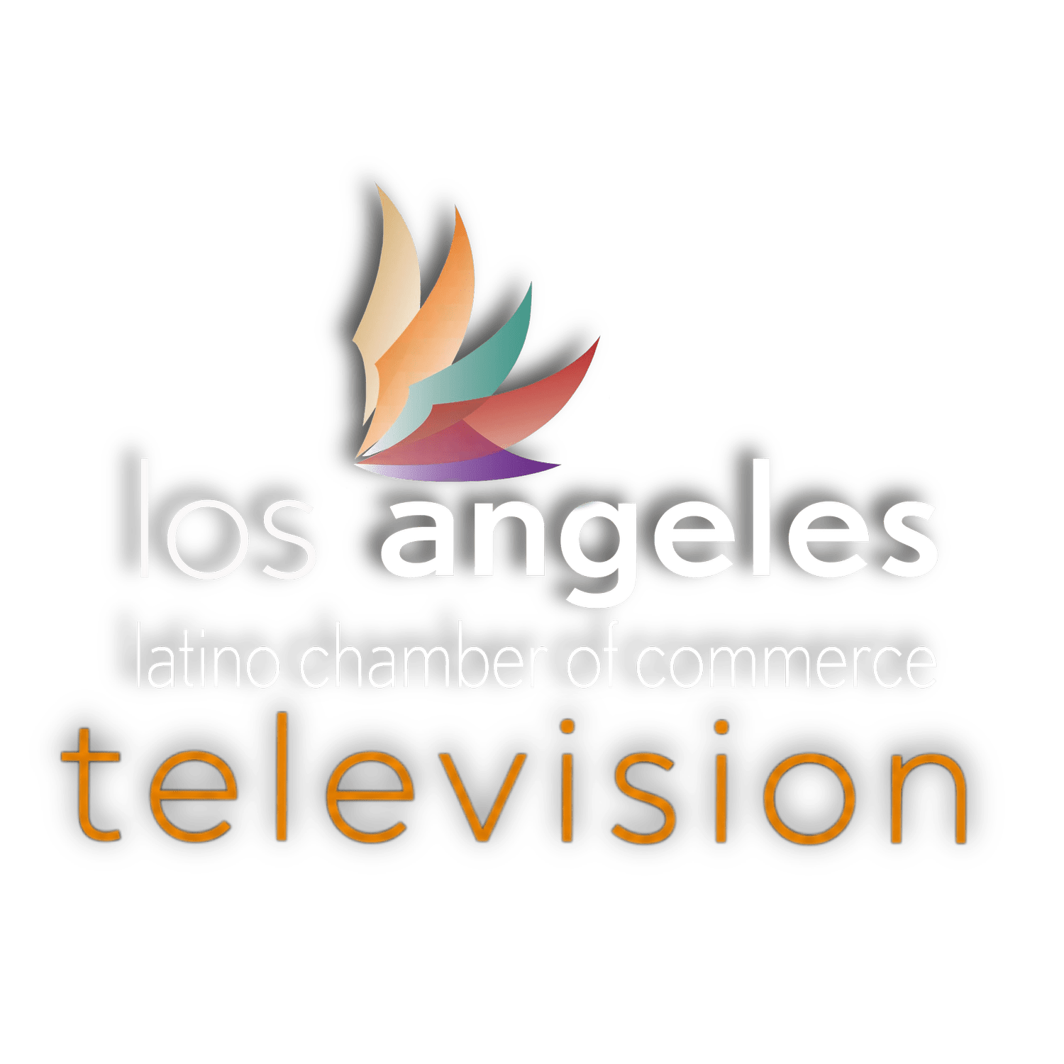 Los Angeles Latino Chamber Television